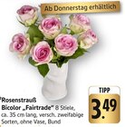 E center Heilbronn - Rosenstrauß Bicolor „Fairtrade“ Angebot im Prospekt Rosenstrauß Bicolor „Fairtrade“ bei E center im Heilbronn Prospekt für 3,49 €