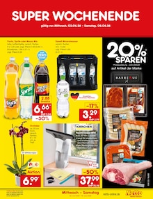Pflanzen im aktuellen Netto Marken-Discount Prospekt (Aachen) Pflanzen im Netto Marken-Discount Prospekt "Aktuelle Angebote" mit 68 Seiten (Aachen)