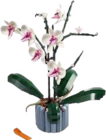 Orchidee bei EDEKA im Grönwohld Prospekt für 33,00 €
