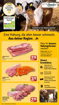 Gulasch im REWE Prospekt "Dein Markt" mit 36 Seiten (Pforzheim)