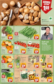 Bio im REWE Prospekt in Sankt Augustin Aktueller REWE Prospekt mit Bio, "Dein Markt", Seite 9