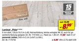 Laminat „Pinie“ bei toom Baumarkt im Stahnsdorf Prospekt für 8,99 €