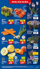 Bio im Lidl Prospekt in Ludwigsburg Aktueller Lidl Prospekt mit Bio, "LIDL LOHNT SICH", Seite 3