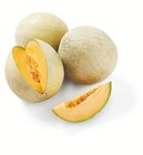 Lidl Kleinmachnow - Cantaloupe-Melone Angebot im Prospekt Cantaloupe-Melone bei Lidl im Kleinmachnow Prospekt für 1,79 €