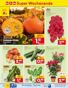 Kürbis im aktuellen Netto Marken-Discount Prospekt (Trier) Kürbis im Netto Marken-Discount Prospekt "Aktuelle Angebote" mit 68 Seiten (Trier)