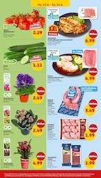 Penny Fleisch im Prospekt 