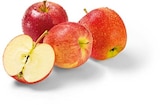 Äpfel rot im Angebot bei Netto Marken-Discount in Heilbronn Äpfel rot Angebote von HEIMAT bei Netto Marken-Discount Heilbronn für 1,49 €