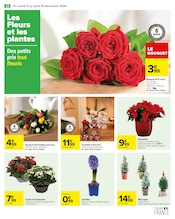 Orchidée Angebote im Prospekt "JOYEUX NOËL & MEILLEURS PRIX" von Carrefour auf Seite 24