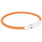 Trixie Leuchtring Flash USB orange L-XL 65 cm /  ø 7 cm bei Zookauf im Quedlinburg Prospekt für 10,39 €