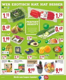 Pflanzen im aktuellen Marktkauf Prospekt (Bielefeld) Pflanzen im Marktkauf Prospekt "Aktuelle Angebote" mit 24 Seiten (Bielefeld)