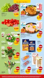 Penny Schnitzel im Prospekt 