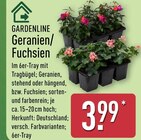Geranien/Fuchsien von Gardenline im aktuellen ALDI Nord Prospekt
