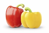 E center - Bio Mixpaprika Angebot im Prospekt Bio Mixpaprika bei E center im Prospekt "" für