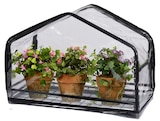 Greenhouse Gewächshaus bei Rusta im Schwentinental Prospekt für 4,99 €