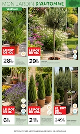 Promos Cyprès dans le catalogue "JARDIN LÀ OÙ LA VIE SE CULTIVE" de Carrefour Market Cyprès en promo dans le catalogue Carrefour Market à la page 3