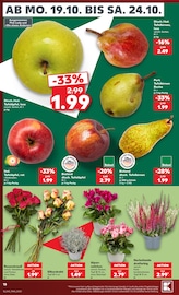 Ähnliche Zitronenbaum Angebote im Prospekt "Hier bin ich richtig" von Kaufland in Pirna Ähnliche Angebote wie Zitronenbaum im Prospekt "Hier bin ich richtig" auf Seite 22 von Kaufland in Pirna