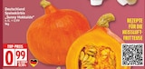 EDEKA Schulzendorf - Speisekürbis Sunny Hokkaido Angebot im Prospekt Speisekürbis Sunny Hokkaido bei EDEKA im Schulzendorf Prospekt für 0,99 €