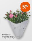 Topfrosen von  im aktuellen tegut Prospekt für 5,99 €