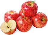 Aktuelle Äpfel Angebote bei REWE in Münster Aktuelles Snack Äpfel Angebot bei REWE in Münster ab 1,99 €
