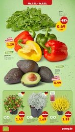 Heide Angebot & Preis im aktuellen Penny Prospekt Heide Angebot im aktuellen Penny Prospekt auf Seite 5