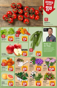 Hortensie im REWE Prospekt "Dein Markt" mit 42 Seiten (Darmstadt)