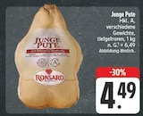 Junge Pute im Angebot bei EDEKA in Jena Junge Pute Angebote von Ronsard bei EDEKA Jena für 4,49 €
