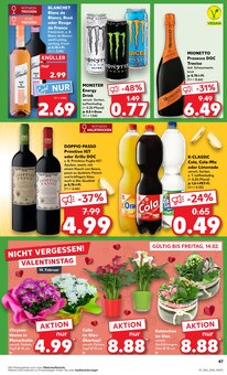 Chrysantheme im Kaufland Prospekt "KNÜLLER" mit 56 Seiten (Mannheim)