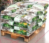 Zierkies im Angebot bei Thomas Philipps in Gelsenkirchen Zierkies Angebote von Grüner Jan bei Thomas Philipps Gelsenkirchen für 3,33 €