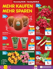 Pflanzen im Netto Marken-Discount Prospekt in Hamburg Aktueller Netto Marken-Discount Prospekt mit Pflanzen, "Aktuelle Angebote", Seite 3