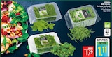 WWF Feldsalat von EDEKA Bio im aktuellen Marktkauf Prospekt