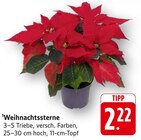 Weihnachtssterne im Angebot bei E center in Kirchheim Weihnachtssterne Angebote bei E center Kirchheim für 2,22 €