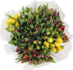 EDEKA Bargteheide - Tulpen aus Vierlanden Angebot im Prospekt Tulpen aus Vierlanden bei EDEKA im Bargteheide Prospekt für 4,99 €