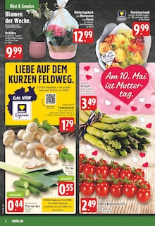 Hortensie im EDEKA Prospekt "Aktuelle Angebote" mit 24 Seiten (Mülheim (Ruhr))