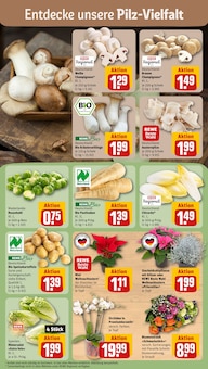Pflanzen im aktuellen REWE Prospekt (Heidelberg) Pflanzen im REWE Prospekt "Dein Markt" mit 28 Seiten (Heidelberg)