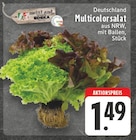 Multicolorsalat bei EDEKA im Dortmund Prospekt für 1,49 €