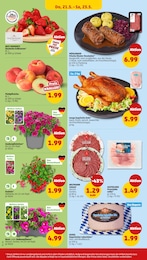 Penny Rinderroulade im Prospekt 