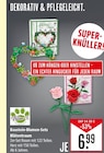 Baustein-Blumen-Sets Blütentraum im Angebot bei Marktkauf in Kirchheim Baustein-Blumen-Sets Blütentraum Angebote von Triton-X bei Marktkauf Kirchheim für 6,99 €