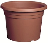 Blumentopf Dahlia 25x18cm im Angebot bei Wreesmann in Pirna Blumentopf Dahlia 25x18cm Angebote bei Wreesmann Pirna für 1,79 €