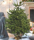 Sapin Nordmann coupé en promo chez Super U Villenave-d'Ornon à 19,99 €