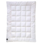 Faserkissen Angebote von billerbeck bei Möbel Martin Rüsselsheim für 29,99 €