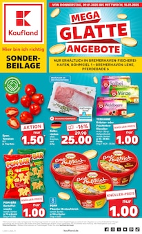 Kaufland Loxstedt Prospekt "Sonderbeilage" mit 8 Seiten