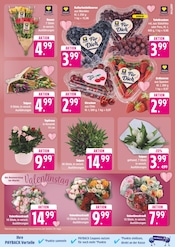 Aktueller EDEKA Prospekt mit Blumen, "Top Angebote", Seite 9