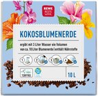 Kokosblumenerde von REWE Beste Wahl für 1,99 € bei REWE im Angebot Kokosblumenerde von REWE Beste Wahl im aktuellen REWE Prospekt