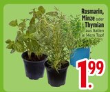 Rosmarin Angebote bei EDEKA Ravensburg für 1,99 €