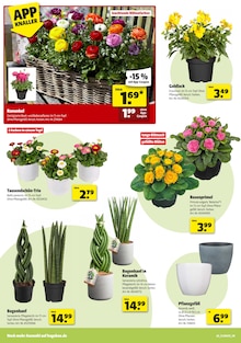 Aktueller Hagebaumarkt Prospekt "VERSCHĂ–NERE MIT UNS DEINEN GARTEN" Aktueller Hagebaumarkt Prospekt