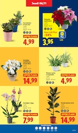 Jardinage Angebote im Prospekt "Votre quotidien à petits prix, ça vaut le coup." von Lidl auf Seite 39