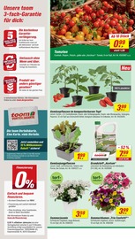Aktueller toom Baumarkt Prospekt mit Blumen, "Respekt, wer's selber macht.", Seite 2