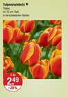 Tulpenzwiebeln von  im aktuellen V-Markt Prospekt für 2,49 €