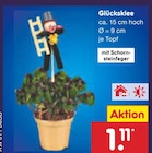 Glücksklee von  im aktuellen Netto Marken-Discount Prospekt für 1,11 €