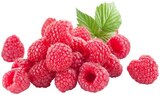 Himbeeren für 3,79 € bei REWE im Angebot Himbeeren im aktuellen REWE Prospekt